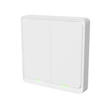 Tesla Smart Switch Dual ZigBee